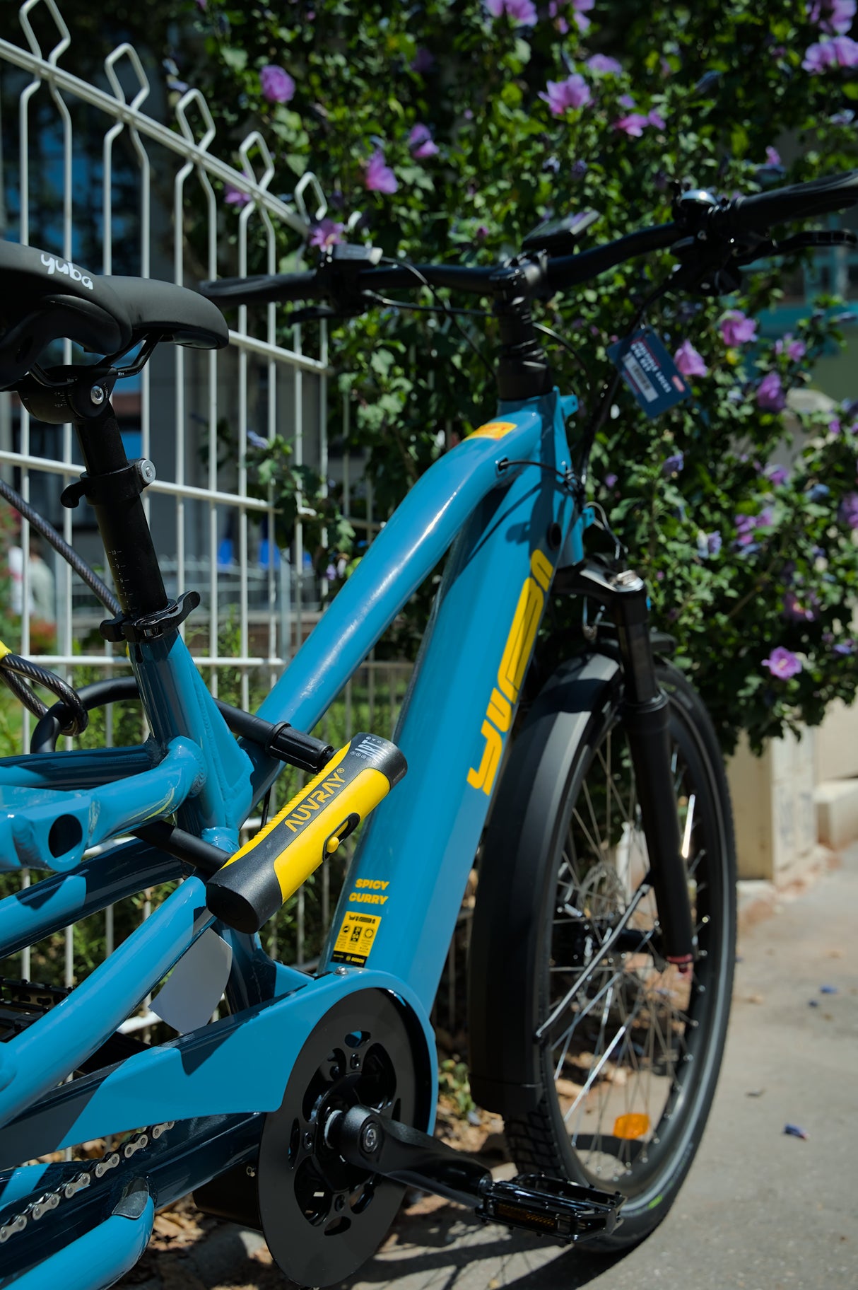 U ROC + CABLE + SUPPORT