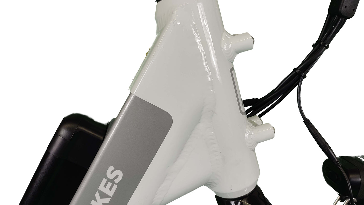 RadCity 5 Plus Step Through