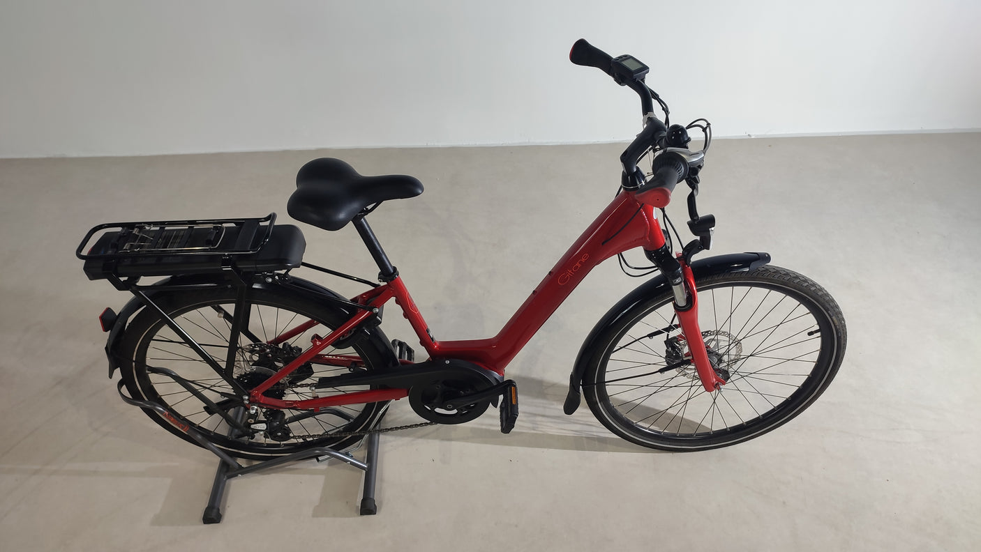 Organ e-bike