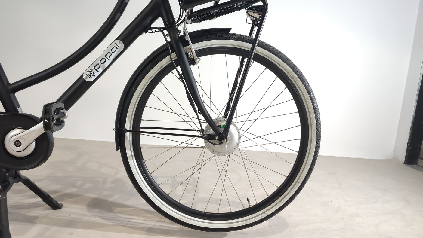 DAILY DUTCH PRESTIGE