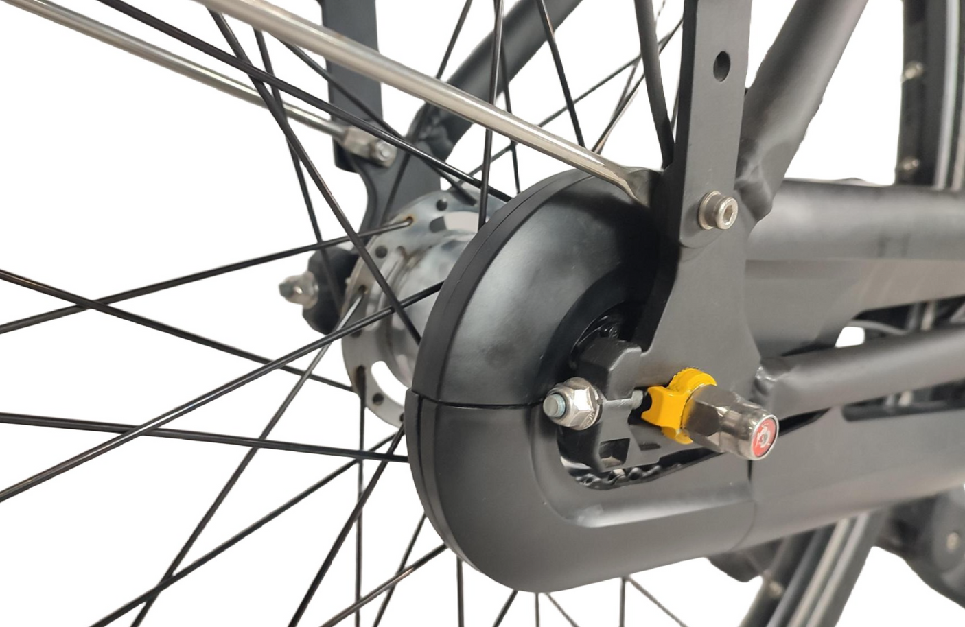 Miss Grace C7 plus HMB Platin