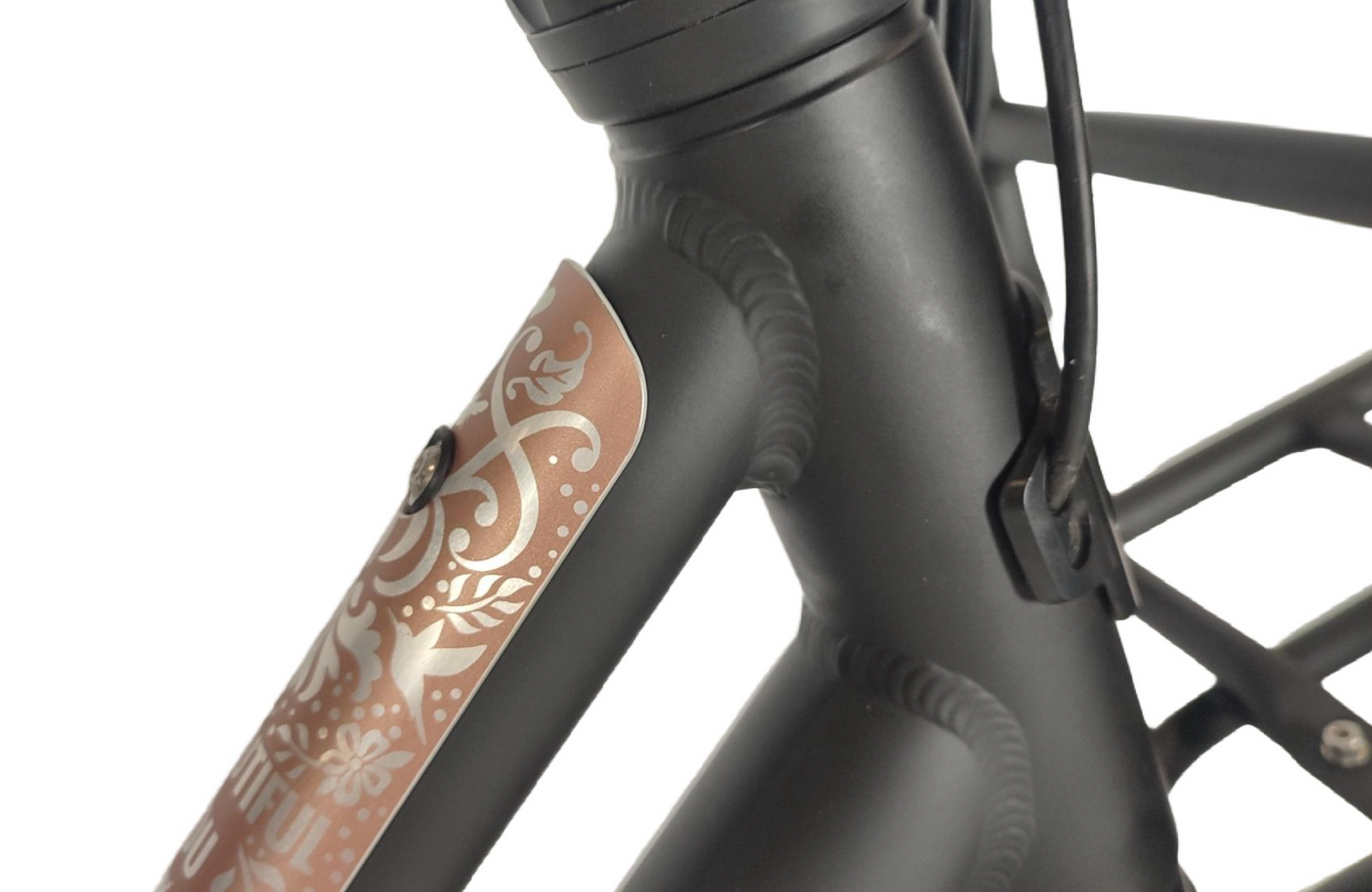 Miss Grace C7 plus HMB Platin