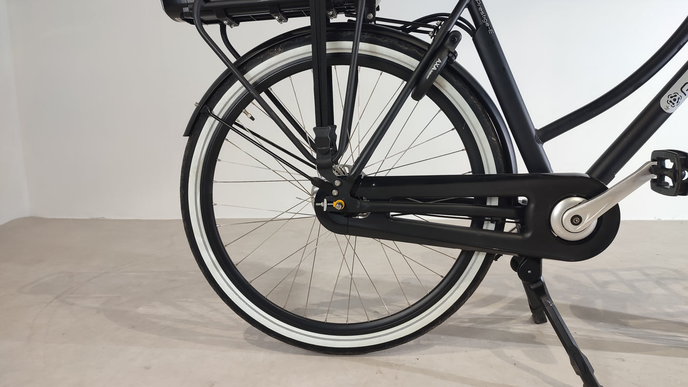 DAILY DUTCH PRESTIGE