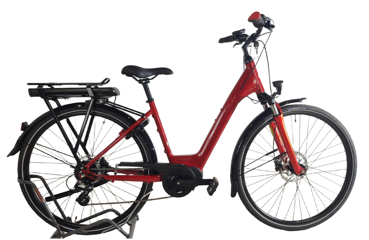 Organ e-bike