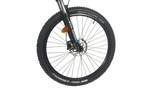 Rex Graveler 9.7 Fully